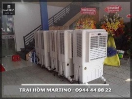 Dịch vụ cho thuê máy làm mát không khí