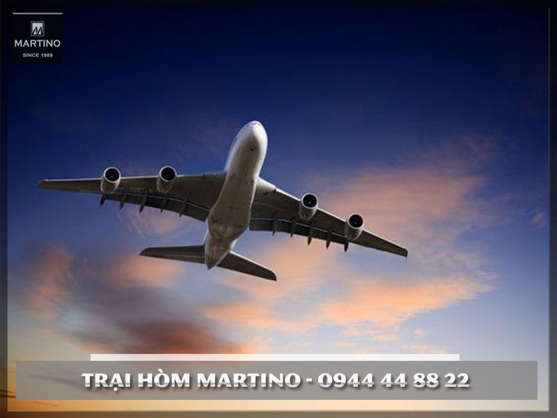 Dịch vụ vận chuyển hài cốt qua đường hàng không tại TRẠI HÒM MARTINO