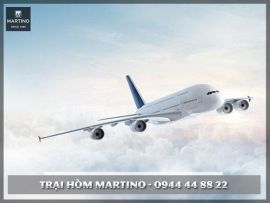 TRẠI HÒM MARTINO - DỊCH VỤ GỞI HÀI CỐT QUA ĐƯỜNG HÀNG KHÔNG UY TÍN