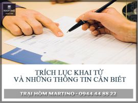 Hướng dẫn làm thủ tục xin trích lục khai tử